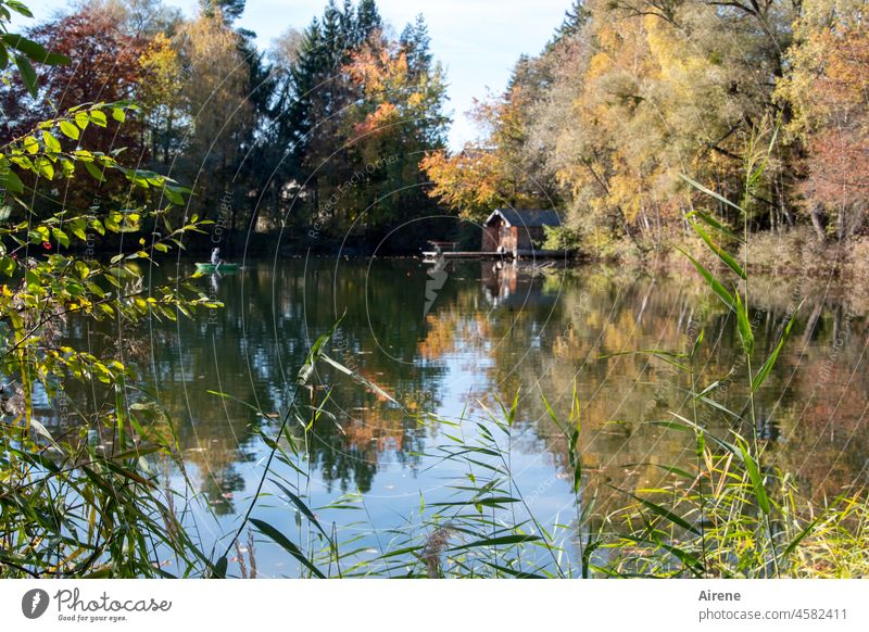 Stille Herbst Idylle See Reflexion & Spiegelung Wald Herbstlaub Sonnenlicht Licht Herbstwald Einsamkeit ruhig Sonnentag Landschaft Geduld Freizeitbeschäftigung