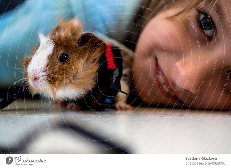 Haustierliebhaber Porträt Niedliches Kind Junge mit seinem schönen kleinen lustigen Haustier Meerschweinchen zu Hause Generation Z Guinea Schwein Tiere pelzig