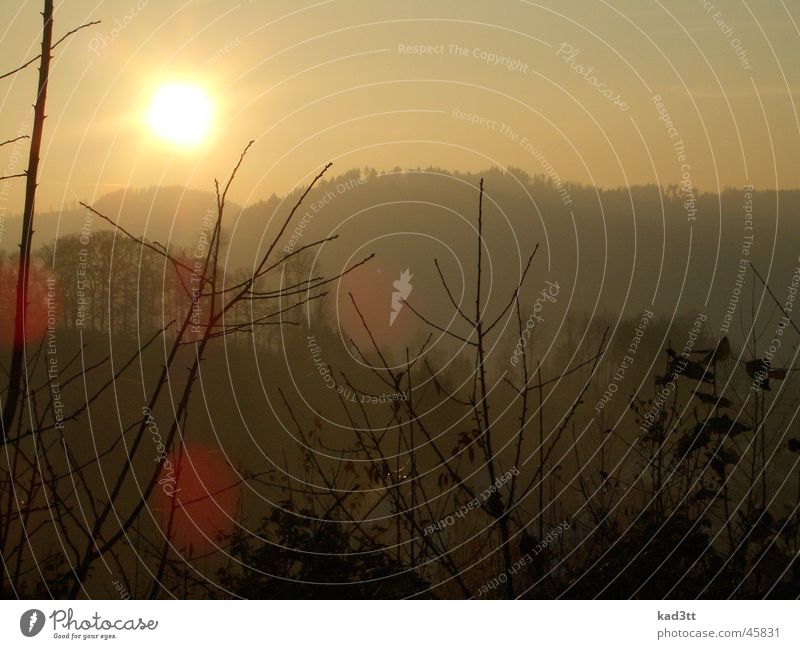 Sonnenuntergang Schwarzwald Hügel Herbst Berge u. Gebirge Abend