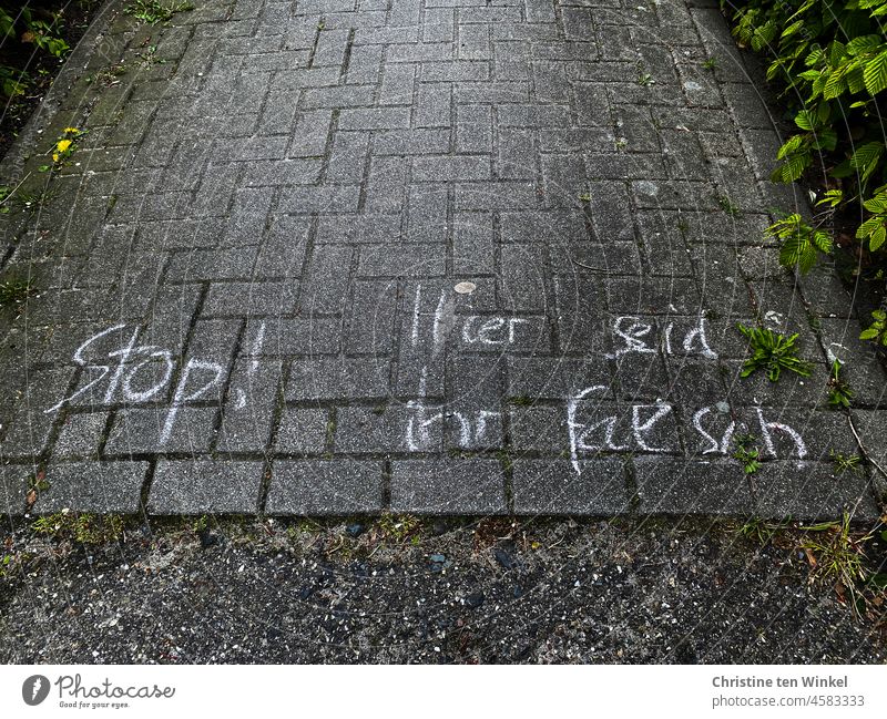 "Stop! Hier seid ihr falsch" steht mit Kreide geschrieben auf dem Gehweg Schriftzug Schriftzeichen Buchstaben Wort Text Satz schreiben Kommunizieren Mitteilung