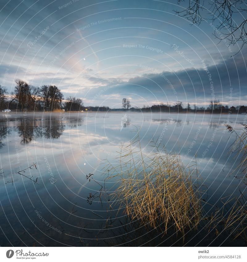 Funkstille Teich See Dämmerung Abendrot Farbfoto windstill Einsamkeit Windstille Natur Wolken Umwelt Fauna Wasser Horizont Weite Panorama (Aussicht) Seeufer