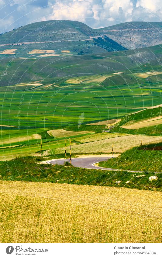 Piano Grande di Castelluccio, Berglandschaft und ländliche Umgebung Europa Italien Juni Marche Monti Sibillini norcia Perugia Ackerbau Farbe Tag Feld Blume grün