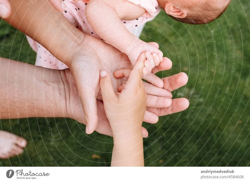 Die Hände der ganzen Familie. Hände von Mama, Papa und Kindern. Vier Hände der Familie. Das Konzept der Einheit, Unterstützung, Schutz und Glück. Zusammensein