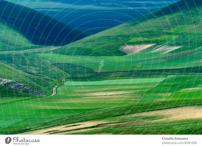 Piano Grande di Castelluccio, Berglandschaft und ländliche Umgebung Europa Italien Juni Marche Monti Sibillini norcia Perugia Ackerbau Farbe Tag Feld Blume grün