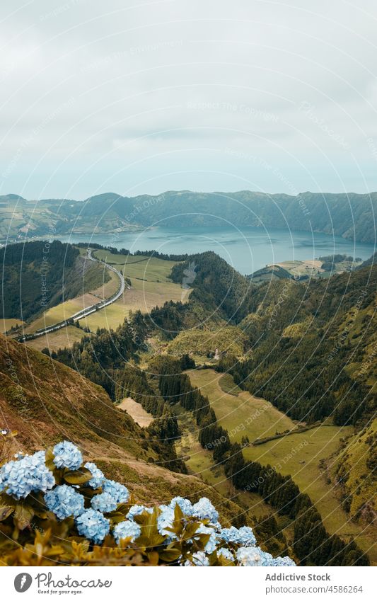 Malerische Landschaft mit Bergtal und See Berge u. Gebirge Natur Berghang Blume grün Hortensie Baum Wald Buchse felsig Wasser malerisch Azoren São Miguel