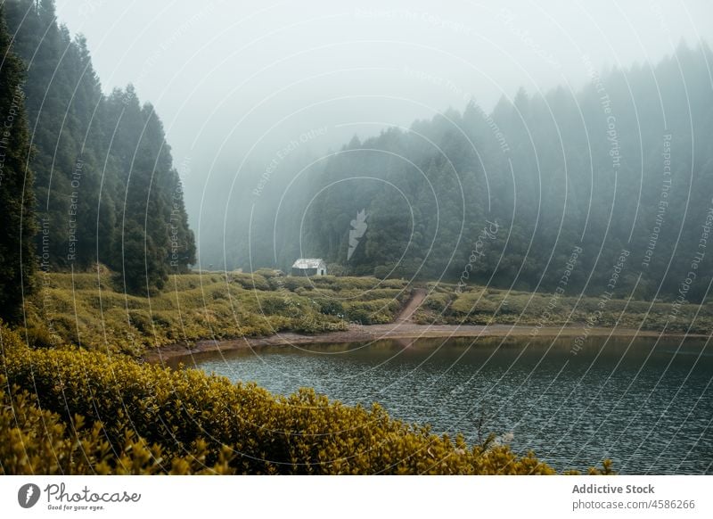 Einsames Haus in der Nähe von nebligem See und Wald Natur Nebel Morgen Landschaft Baum Wasser Seeufer nadelhaltig Kabine Azoren São Miguel Portugal malerisch