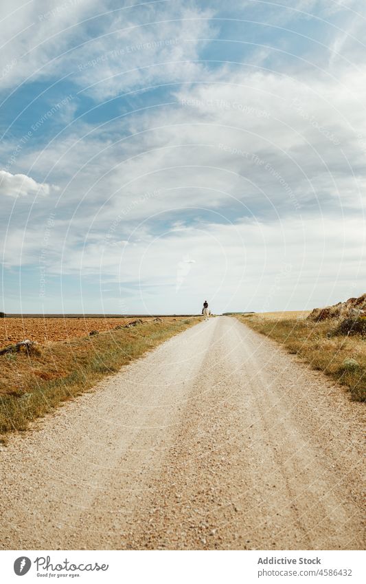 Sandige Straße mit Reiter auf dem Lande Natur Landschaft ländlich Pferd Feld Sommer Bauernhof Wiese trocknen gerade Blauer Himmel Freiheit Saison Gelände Weide