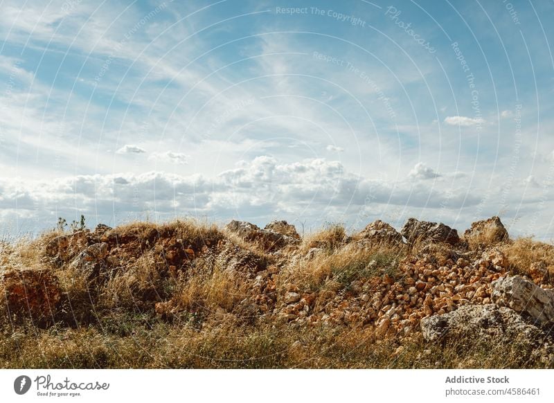 Felsformationen im grasbewachsenen Tal Natur Landschaft felsig Formation Gras Feld Wiese Sommer Pflanze Grasland Stein rau wolkig Blauer Himmel trocknen