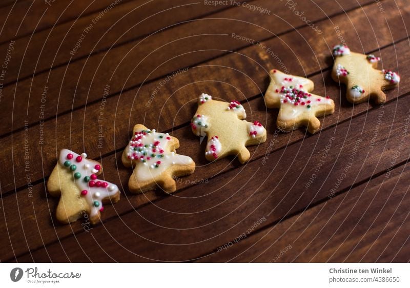 Mit Zuckerguss und Zuckerperlen bunt verzierte Weihnachtsplätzchen in Tannbaumform liegen auf einem Holztisch selbstgebacken lecker Plätzchen süß Advent