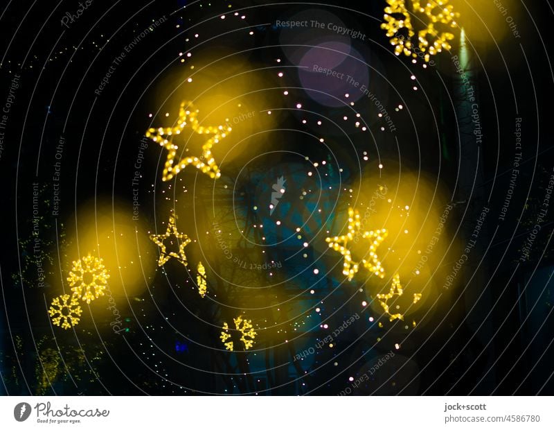 Weihnachtssterne leuchten in der Dunkelheit Weihnachtsdekoration Weihnachten & Advent Stern (Symbol) Bokeh defokussiert festlich Unschärfe Weihnachtsstimmung