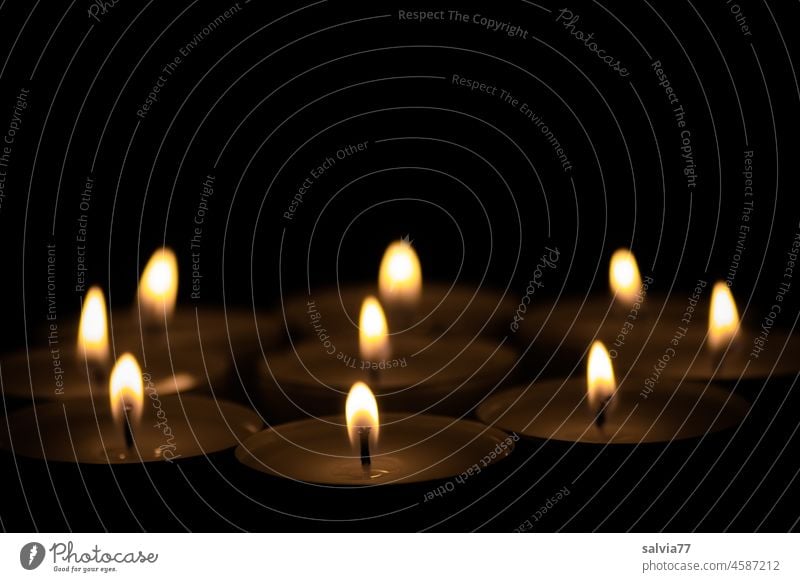 Teelichter erhellen die Dunkelheit Lichter leuchten Dekoration & Verzierung Lichterkette Beleuchtung Kerzenflamme Stimmung Unschärfe Lichterscheinung Lichtkreis