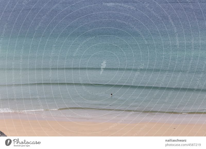 Am Strand Surfen Surfers Paradise Wellen wandern Erholung Tag Farbfoto MEER Schönes Wetter Sandstrand Umwelt Natur Tag am Strand Außenaufnahme bewölktes Wetter