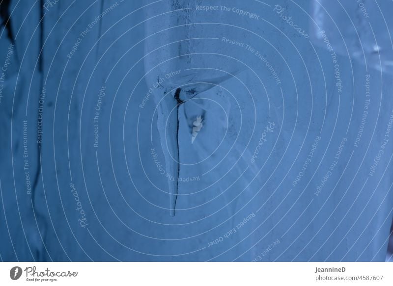 ein Eiszapfen Kälte Blauton Winter kalt Schnee gefroren Frost blau Natur Außenaufnahme frieren spitzig Winterstimmung eisig stille gefrorenes Wasser Landschaft