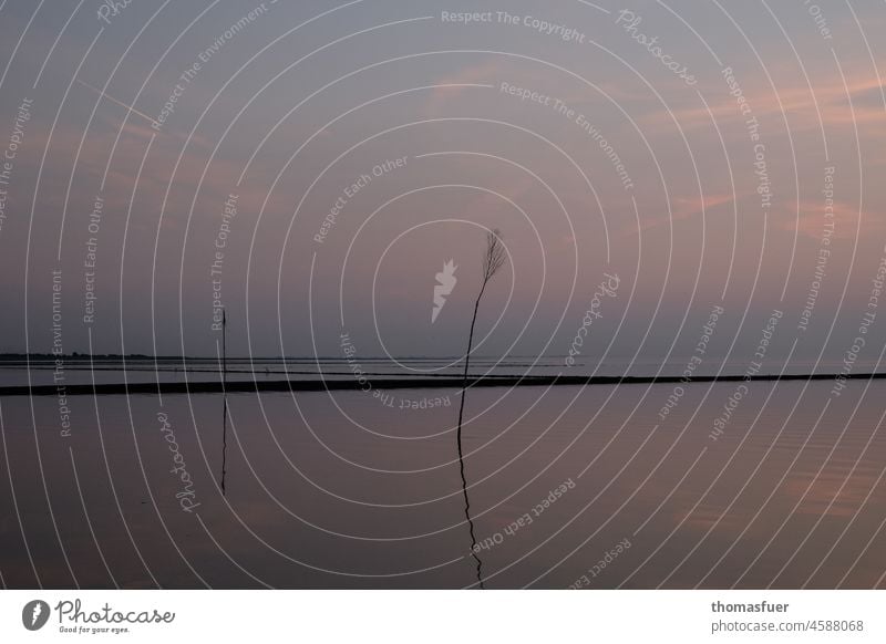 Fahrwasserbegrenzung durch Besentonne (Pricken, Priggen) in der Nordsee Seezeichen Himmel Menschenleer Küste Schifffahrt Meer Orientierung Textfreiraum oben