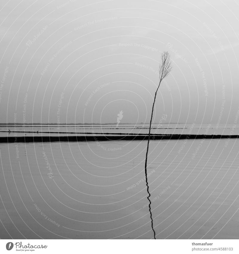 Fahrwasserbegrenzung durch Besentonne in der diesigen Nordsee Seezeichen Himmel Menschenleer Küste Schifffahrt Meer Schwarzweißfoto Orientierung