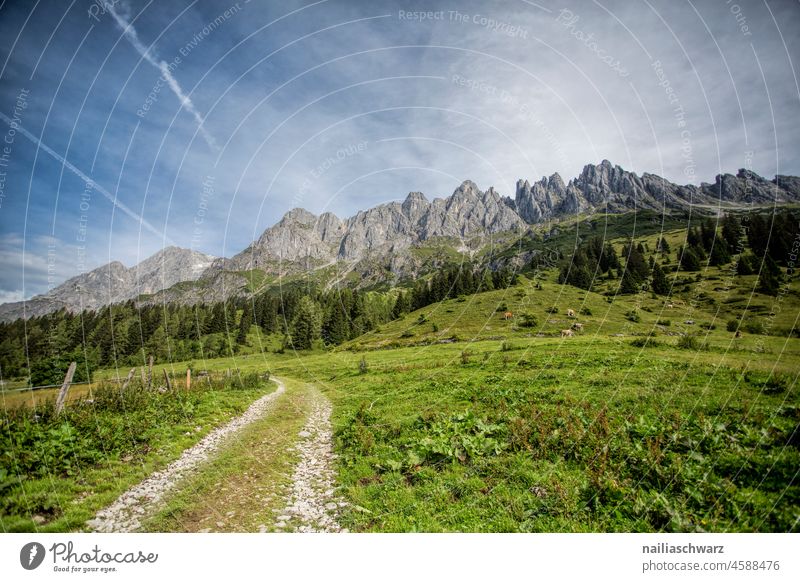 Alpen Tag Außenaufnahme Farbfoto ästhetisch blau grün Mühlbach Österreich Bergwiese Gletscher Gipfel Hochkönig Berge u. Gebirge Schönes Wetter Wolken Umwelt