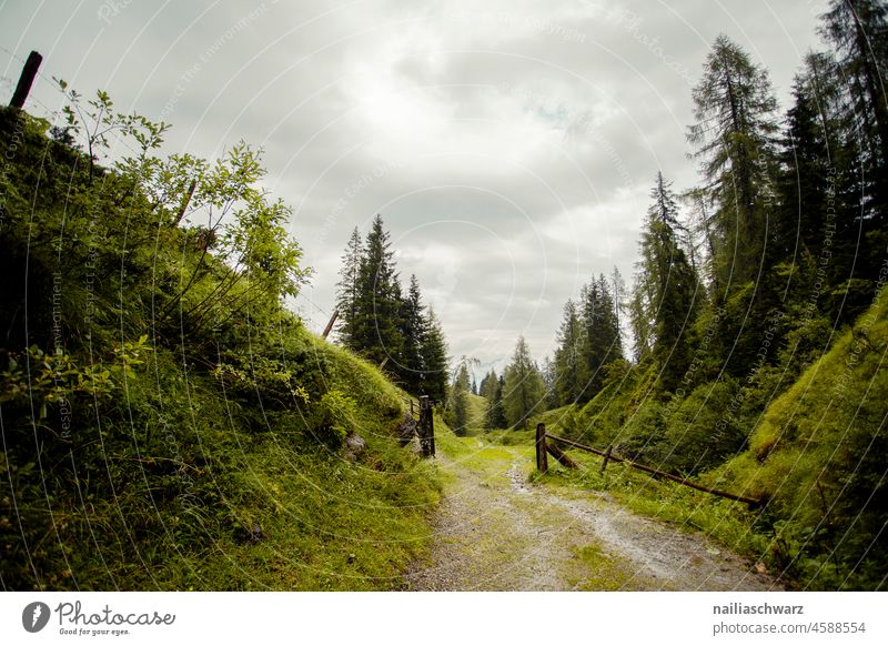 Weg Wolken schlechtes Wetter Alpen Berge Berge im Hintergrund Bergkette Himmel Sommer Gras Wege & Pfade wandern Sommerurlaub Außenaufnahme Natur schön ruhig