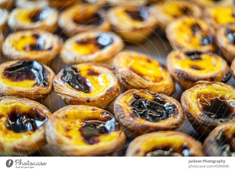 Nahaufnahme von reichlich Pastel de Nata - traditionelle Süßigkeit aus Portugal süß Vanillepudding gelb verbrannt viele Fülle Creme Eistorte Zucker Naschkatze