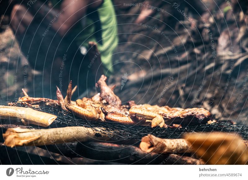 frühstückchen? Grillen Hähnchen Fleisch hähnchenschenkel ureinwohner Außenaufnahme Abenteuer Fernweh Freiheit Borneo Malaysia authentisch