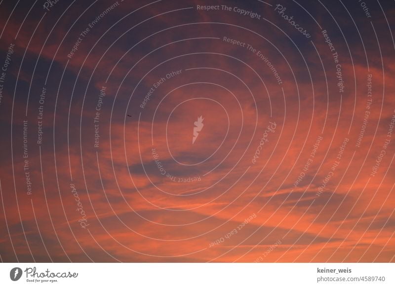 Rote Abenddämmerung am Himmel mit sehr einsamen Flugzeug Wolken Wolkenbild Abendrot Sonnenuntergang orange blau violett Einsam Wolkenlandschaft Morgenrot Wetter