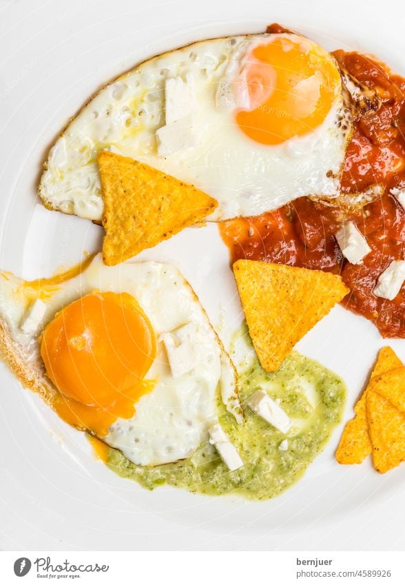 mexikanische Spiegeleier mit Salsa Ei Huevos divorciados geschieden authentisch Mexiko Taco Nacho Kochen hausgemacht Zutaten grün Knoblauch vegetarisch Tomaten