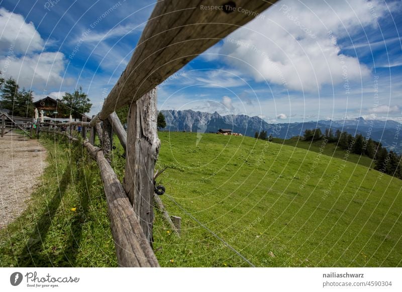 Alpen Waldstimmung Waldweg Waldspaziergang Felsen Österreich wandernd idyllisch Landschaft Erholung Umwelt Fröhlichkeit ruhig frisch Feld Begeisterung Sehnsucht