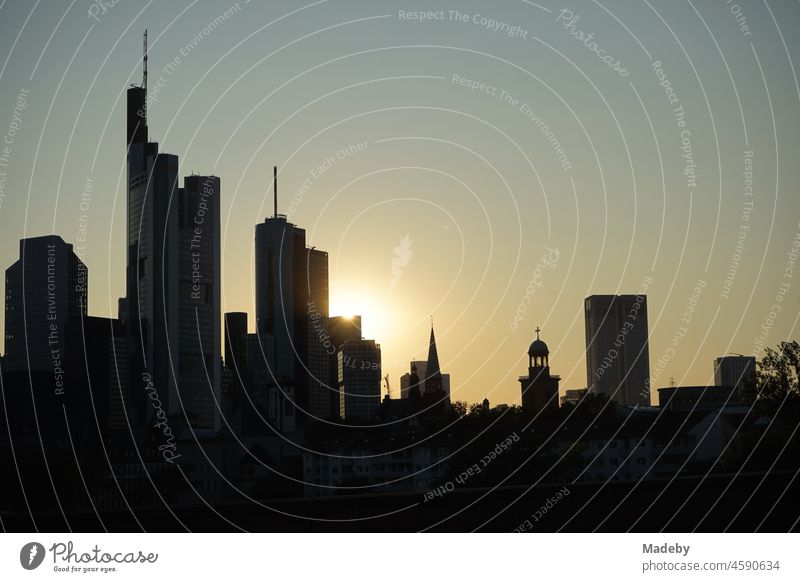 Die Skyline mit dem Bankenviertel und seinen Wolkenkratzern im Licht der untergehenden Sonne im Sommer in Frankfurt am Main in Hessen hochhaus Mainhattan