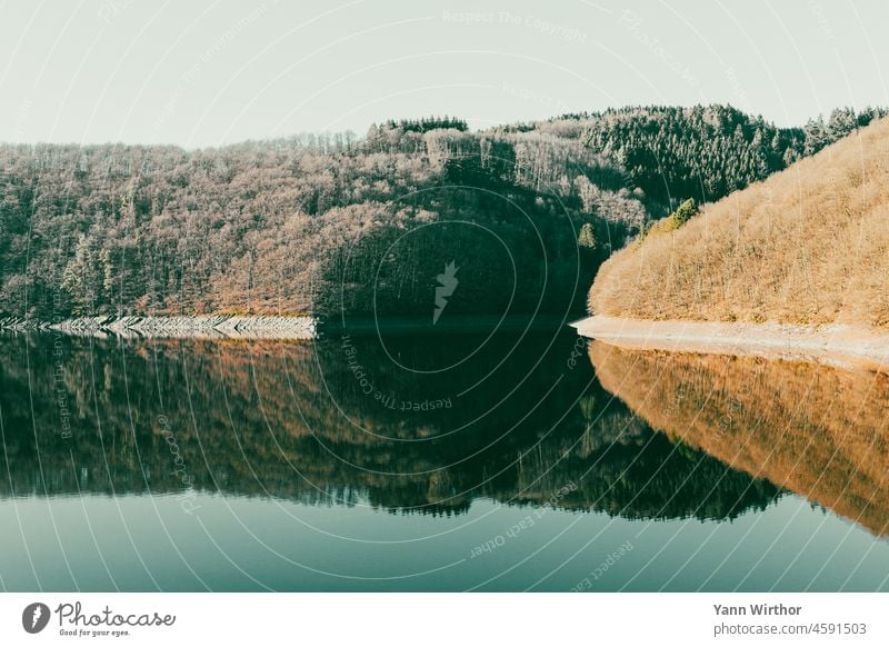 Herbstwald spiegelt sich im Wasser Wasserspiegelung See Spiegelung im Wasser braun herbstlich dunkel abfallend Wald Natur Außenaufnahme ruhig