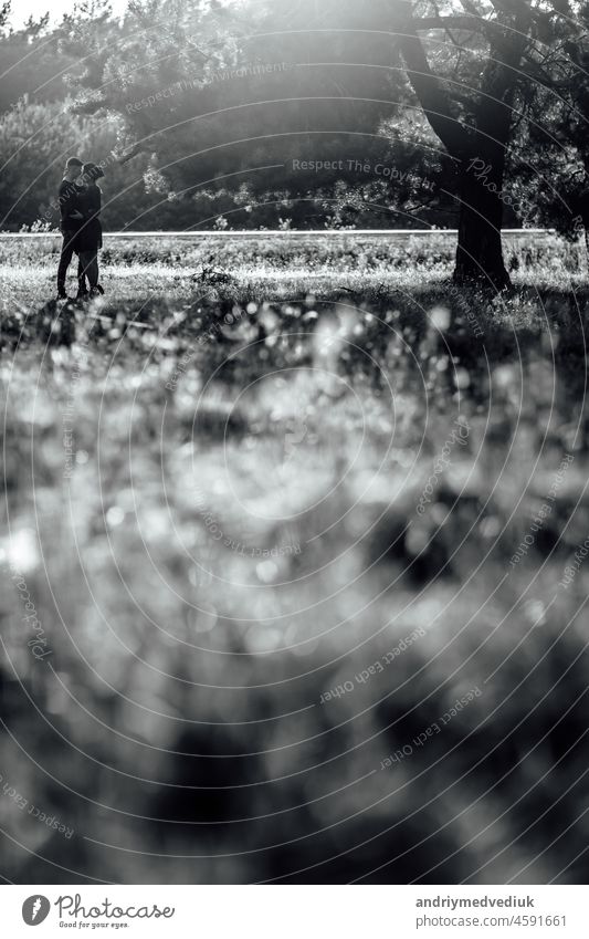 Schwarz-Weiß-Foto. Junges verliebtes Paar, das im Sommer im Park spazieren geht und die Hände hält. Frau und Mann haben ein Date im Freien. Romantische Beziehung. Valentinstag. Selektiver Fokus