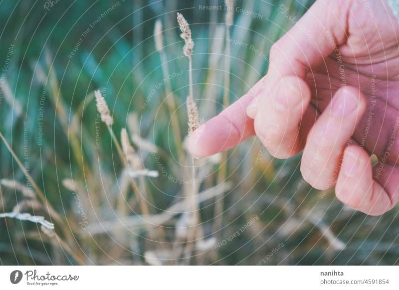 Die Hand eines Mannes berührt einen zerbrechlichen Stachel filigran Zerbrechlichkeit Natur schließen abschließen Spitze Sommer fallen Herbst Farben Makro Haut