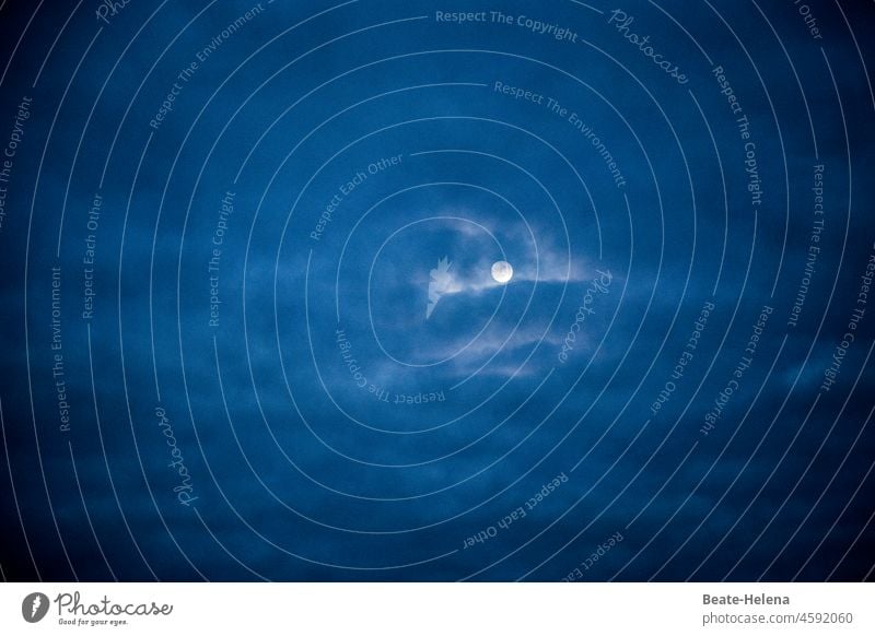 Vollmondnacht Himmel Wolken Mond Romantisch Nachthimmel Außenaufnahme Mondschein Menschenleer Licht Lichterscheinung leuchten Silhouette Auge Natur dunkel