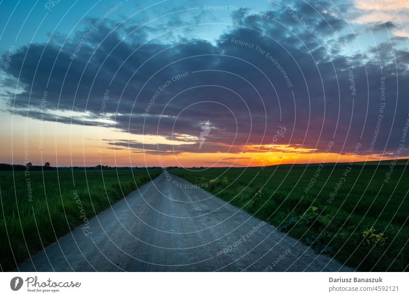 Eine Straße durch die Felder und ein farbenfroher Sonnenuntergang Natur Himmel Cloud Landschaft ländlich grün im Freien Sommer schön Hintergrund Horizont blau