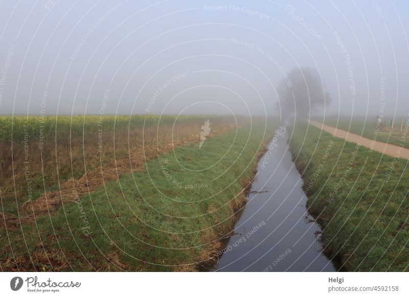 Nebelstimmung - kleiner Fluss zwischen Feldern mit Weg und Baum im Nebel Landschaft Natur Feldrand Wasser Gras Ufer Außenaufnahme Menschenleer Nebelschleier