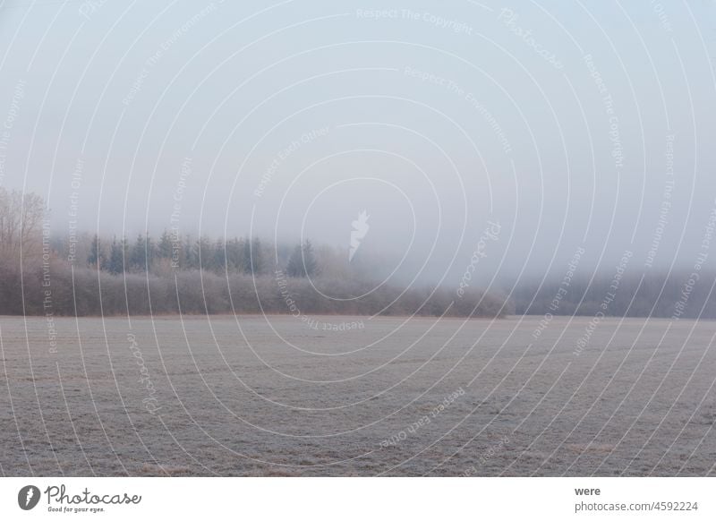 Eine mit Raureif bedeckte Nebelwiese bei Sonnenaufgang im Naturschutzgebiet Siebenbrunn bei Augsburg, Deutschland kalt Textfreiraum Wald Frost Landschaft Wiese