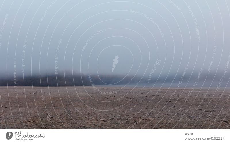 Eine mit Raureif bedeckte Nebelwiese bei Sonnenaufgang im Naturschutzgebiet Siebenbrunn bei Augsburg, Deutschland kalt Textfreiraum Wald Frost Landschaft Wiese