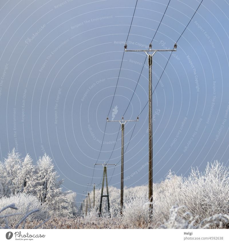 Winterzauber - mehrere Stommasten hintereinander in mit Raureif bedeckter Winterlandschaft vor blauem Himmel Strommast Holzmast Stromversorgung Landschaft Natur