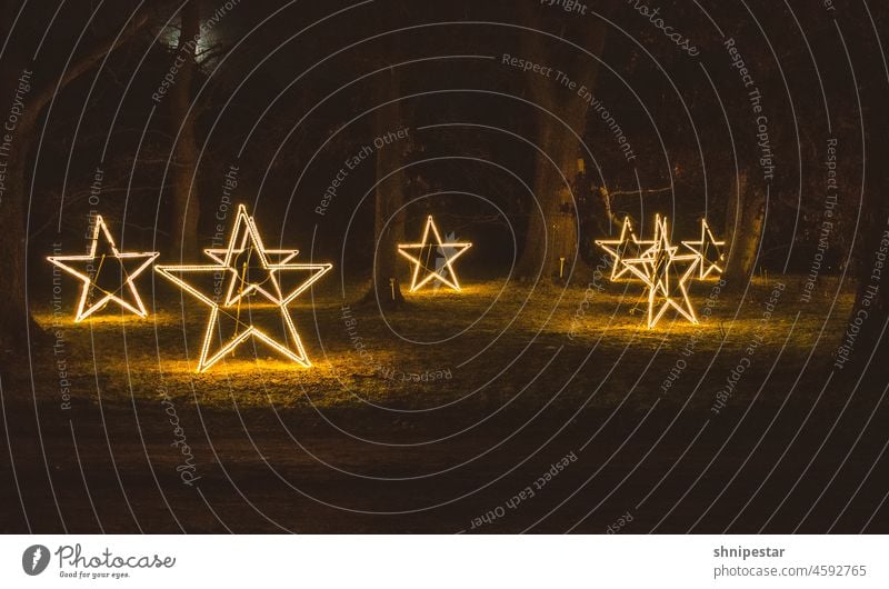 Leuchtende dekorative Weihnachtssterne im dunklen Wald Weihnachten Christmas Sterne Lichterkette Dunkelheit Garten Dekoration Winter Gemütlich abstrakt