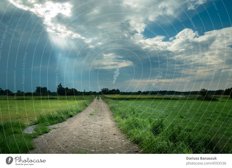 Sonnenstrahlen in den Wolken und Schotterstraße Cloud Straße Feld Wiese grün Himmel Sonnenlicht Schmutz Natur Licht hell Gras Landschaft im Freien Sommer