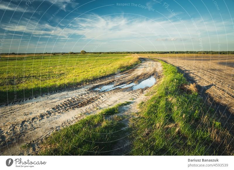 Pfütze auf Feldweg, Felder und Wolken am Himmel Straße Schmutz ländlich Cloud Land Landschaft Gras Horizont Natur Wasser Ackerbau Weg Wetter blau grün Sommer