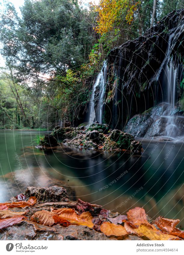 Erstaunlicher Blick auf einen Wasserfall in den Bergen im Wald Natur Landschaft strömen Formation fließen malerisch felsig Kaskade üppig (Wuchs) Stein grün Baum