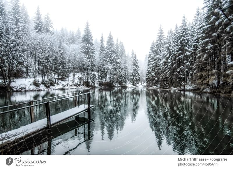 Waldsee im Winter Pfanntalsteich Oberhof Thüringen Thüringer Wald See Wasser Schnee Steg Bäume Geländer Spiegelungen Reflexion & Spiegelung Natur Landschaft