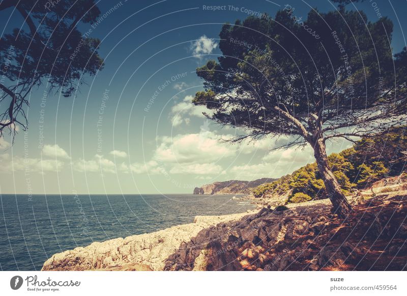 Verweile doch du bist so schön ... Ferien & Urlaub & Reisen Sommer Meer Umwelt Natur Landschaft Erde Himmel Wolken Horizont Wärme Baum Küste Bucht Fernweh