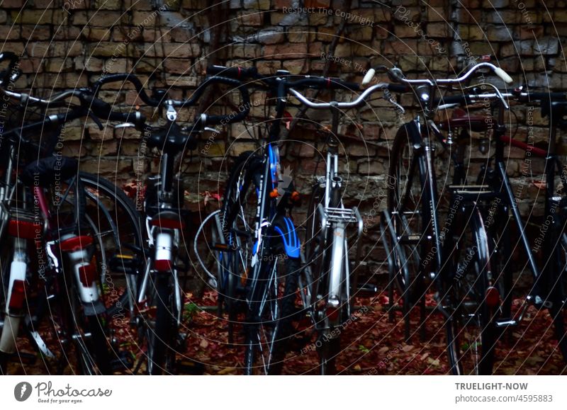 Nacht will es werden / Im Hinterhof Fahrräder / Stehen dicht an dicht Dämmerung Stellplatz Dunkelheit parken abgestellt abstellen Ziegelmauer Fahrradständer