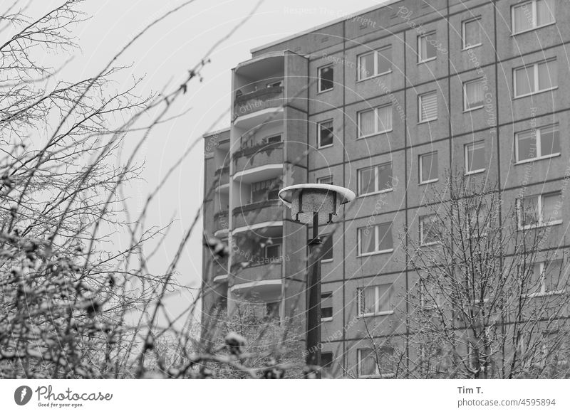 eine verschneite Laterne im Plattenbauviertel Winter s/w Schnee Prenzlauer Berg Ernst Thälmann Park bnw cold Tag Berlin Außenaufnahme Schwarzweißfoto