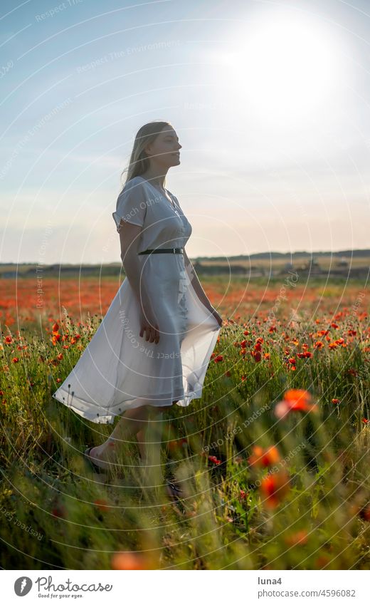 junge Frau genießt Abendsonne im  Mohnfeld sinnlich anmutig lächeln Kleid Sonnenuntergang hübsch Wiese stehen Blumenwiese glücklich fröhlich Auszeit Glück