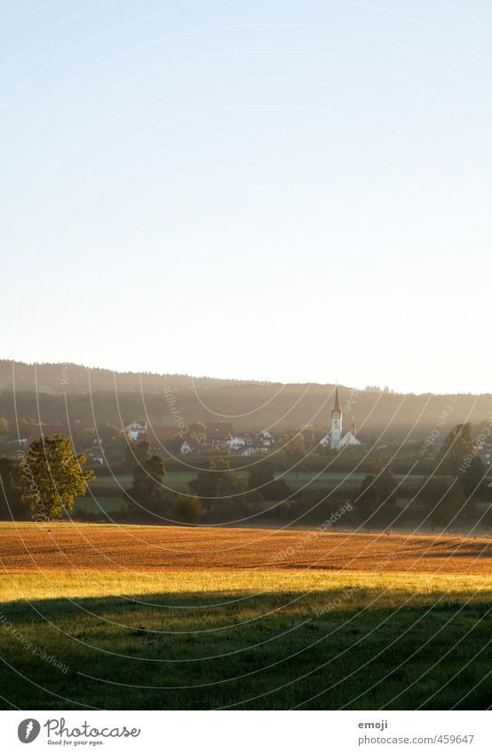 Sonnenstrahlen Umwelt Natur Landschaft Himmel Wolkenloser Himmel Feld Dorf nachhaltig natürlich Farbfoto Außenaufnahme Menschenleer Textfreiraum oben Morgen