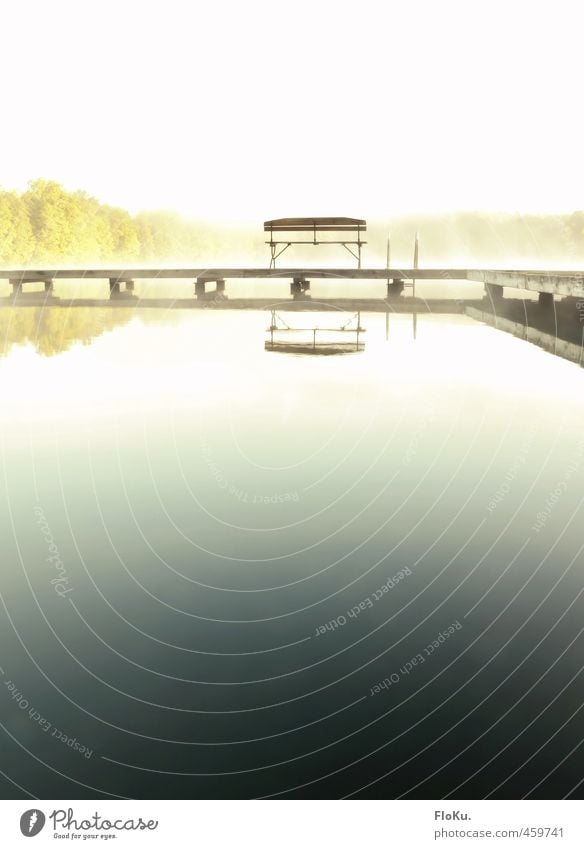 in eine andere Welt Ferien & Urlaub & Reisen Ausflug Ferne Umwelt Natur Wasser Sonnenaufgang Sonnenuntergang Sommer Nebel Küste Seeufer weich blau weiß Bank