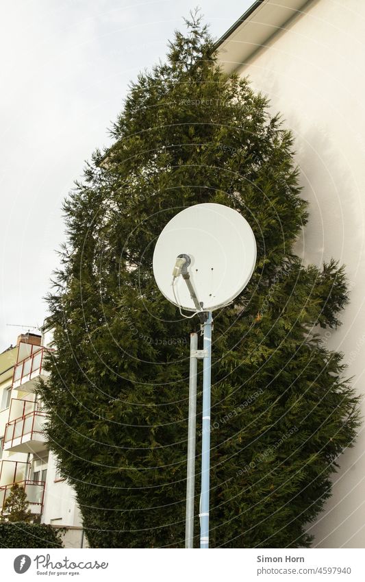 Satellitenschüssel vor Gebüsch Buschfunk Antenne Ausstrahlung Telekommunikation Radio Übertragung Technik & Technologie Station Mobile Mitteilung Vergangenheit