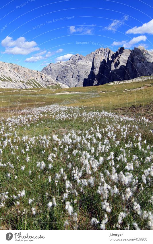 Dolomiten Ferien & Urlaub & Reisen Sommer Sonne Berge u. Gebirge wandern Natur Landschaft Pflanze Himmel Wolkenloser Himmel Schönes Wetter Wiese Felsen Alpen