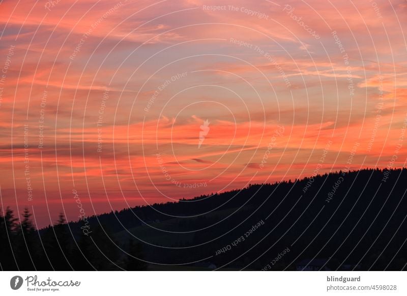 Abendrot - Gutwetterbot', Morgenrot mit Regen droht. Wolken Himmel Sonnenuntergang Bäume Wald Silhouette Kontrast Romantik Dämmerung Natur farbenfroh